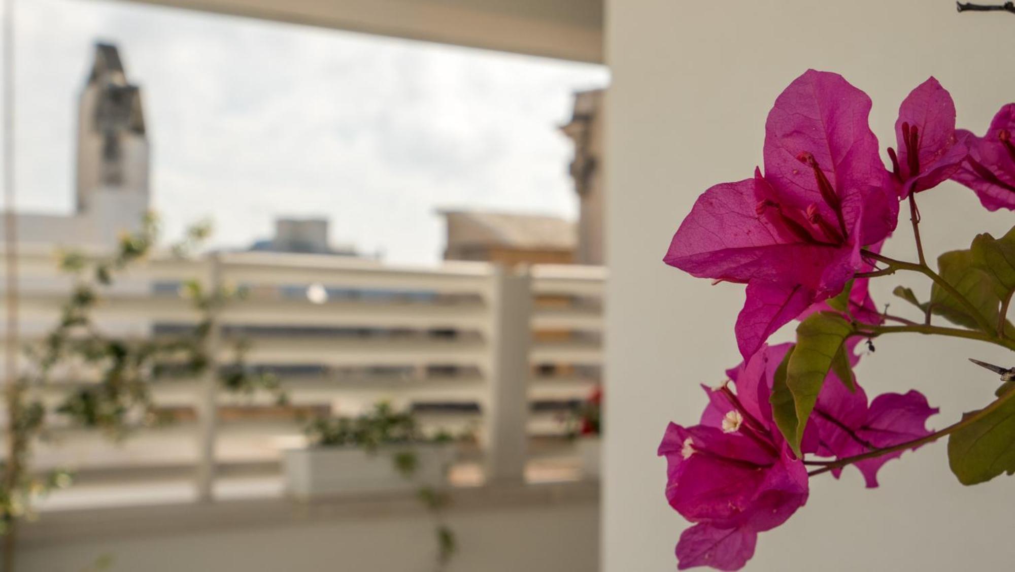 Il Vicoletto Bed & Breakfast Polignano a Mare Exterior photo